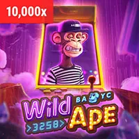 Đá Gà 1xbit